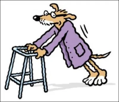 Punky, 14 ans, ne comprend pas ce qui lui arrive. Il se retrouve dans un box froid et humide. Après des années de bonheur auprès de sa maîtresse, celle-ci n'a pas hésité à l'abandonner car :