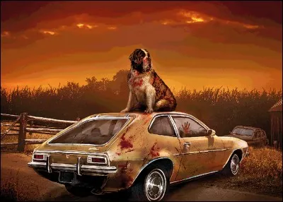 Plouf est un saint Bernard, doux et affectueux. Pourtant, il vient d'être abandonné brutalement car :