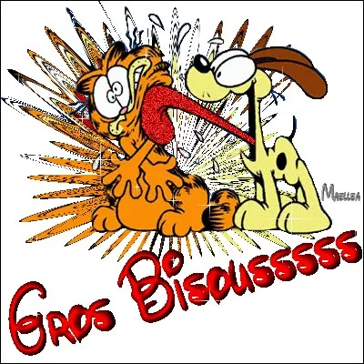 Pim, est un golden retriever désemparé par cet abandon qu'il ne comprend pas. En effet, ces maîtres trouvent :