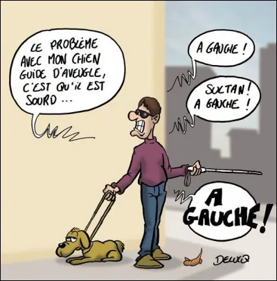 Pirate vient d'être abandonné par Lucie qui vient de découvrir qu'il ne distinguait pas de loin les personnes immobiles. Donc elle craint :