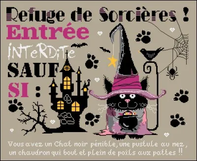 Lucifer, magnifique chat noir qui a été offert comme cadeau de Noël, vient d'être abandonné à l'âge de 4 mois car :