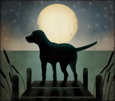 Biscotte est une mamie labrador qui, avec l'âge, doit se soulager plus souvent que dans sa jeunesse. Ses maîtres l'ont donc abandonnée sans scrupules car :