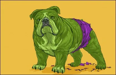 Pierrot n'a passé que quelques jours dans sa famille adoptive. Il a été de nouveau abandonné ce samedi car en fin de compte :