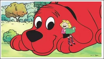 Clifford est un saint Bernard de 24 mois dont les maîtres se séparent car :