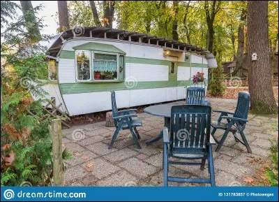 Pour les vacances, on parle de "se mettre au vert", pourquoi ?