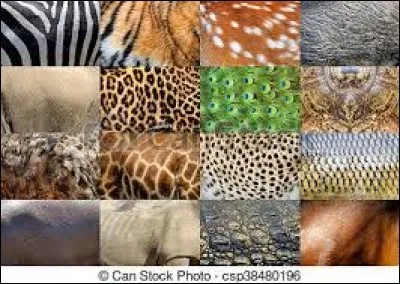 Que ne faut-il pas vendre avant de l'avoir tué ?