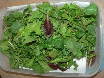 Est-il important de donner des végétaux riches en eau pour un lapin souffrant de problèmes urinaires ?