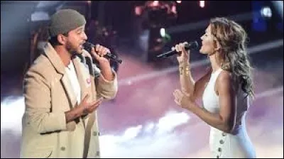 Slimane et Vitaa ont sorti un album ensemble en 2015.