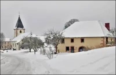 Petit coup de froid avec cette vue du Haut-du-Tôt. Village Vosgien, il se situe en région ...