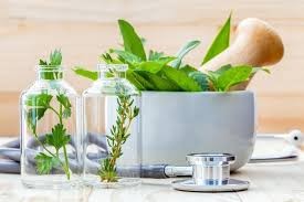 Quiz Plantes
