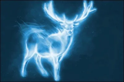 Quel sort préfères-tu ?