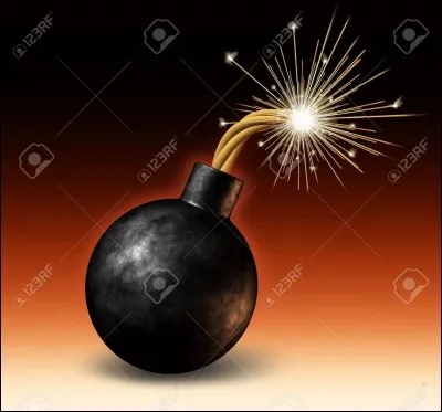 Michel Debré, alors Premier ministre du général de Gaulle, avait déclaré devant l'Assemblée nationale :