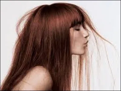 Quel nom donne-t-on à l'attirance sexuelle d'un individu envers les cheveux ?