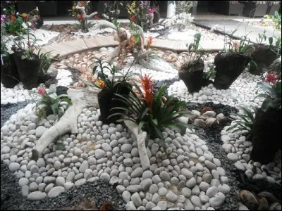 Comment s'appelle l'opération de chirurgie esthétique du nez ?