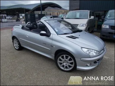 Ce lionceau est pour une...