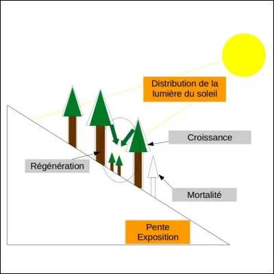 Quel est le facteur abiotique étudié ?
