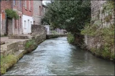 La Veules est le plus petit fleuve de France.