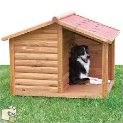 Niche et chien sont des _______________.