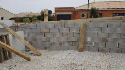 Pour se protéger de son voisin, Émile a construit ce __________.