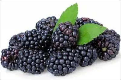 Il a ensuite été chercher quelques _____________.