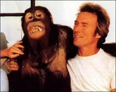 Quel acteur peut-on voir dans le film "Ça va cogner" ?