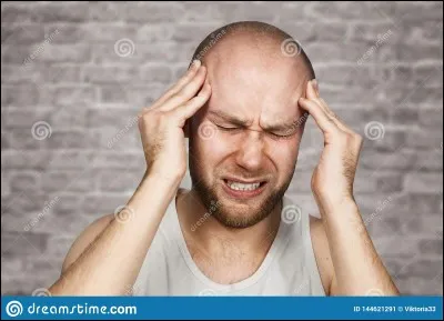 Au niveau mondial, l'industrie homéopathique est dominée par...