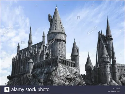 Qu'aimes-tu faire pendant ton temps libre ?