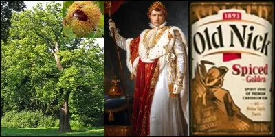 Parlons des surnoms de l'Empereur ! Il y en a beaucoup et on peut en citer quelques-uns comme « La paille-au-nez », « Le petit tondu »
Parmi ces trois autres surnoms, connaissez-vous celui qui N'EST PAS un surnom de l'Empereur Napoléon 1e ?