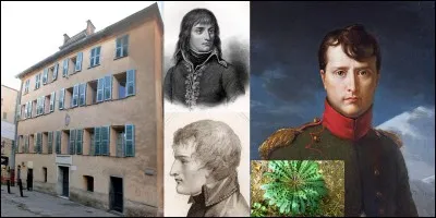 Napoléon 1e est né le 15 août 1769 à Ajaccio. A votre avis : 
Sous quel nom a-t-il été déclaré à l'état-civil ?
Dans quelle rue d'Ajaccio, le jeune Napoléon passa-t-il ces premières années ?
Comment certains de ses opposants le nommèrent-ils ?