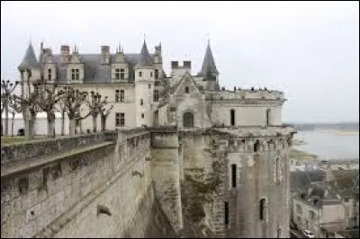 Dans quel d&eacute;partement se situe le ch&acirc;teau d'Amboise ?