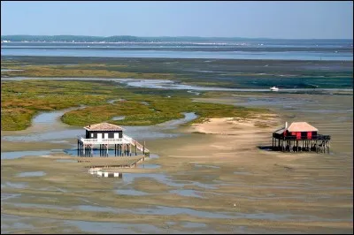 Ces cabanes en bois, perchées sur pilotis et typiques du Bassin d'Arcachon sont appelées...