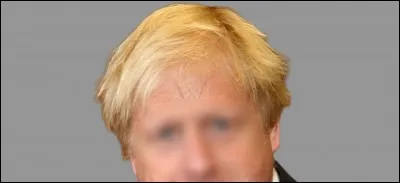 Qui porte cette coiffure ?