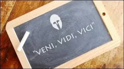 Qui a dit : « je suis venu, j'ai vu, j'ai vaincu ». ?