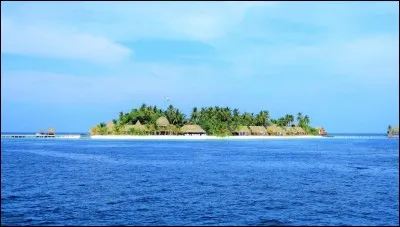 Quel personnage, Brice découvre-t-il sur l'île ?