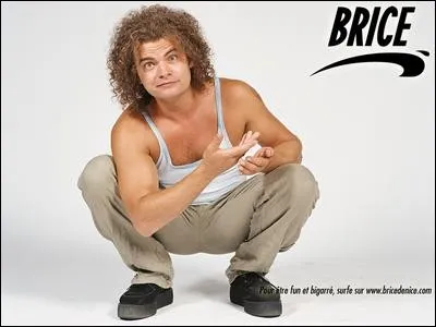 Qui est le meilleur ami de Brice ?