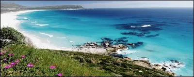 Lequel de ces pays n'a pas été visité par Bart ?