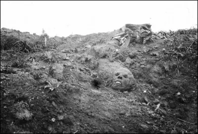 Tous fronts confondus, quelle fut la bataille la plus destructrice en vies humaines de la Première Guerre mondiale ?