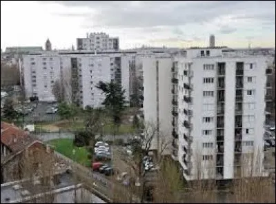 Qu'est-ce qu'un 10 balles ?