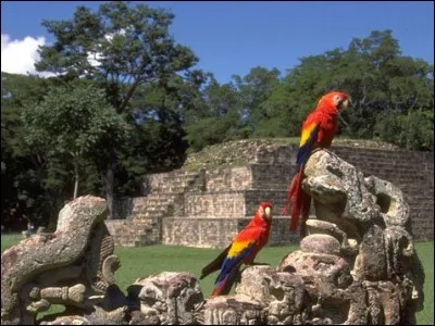 Où devez-vous vous rendre pour visiter les ruines de la cité maya de Copan ?