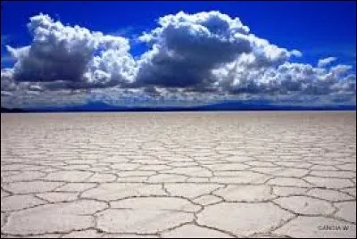 Cette étendue de sel est située à 3 658 mètres d'altitude.
Avec une superficie de 10 582 km, elle constitue le plus vaste désert de sel du monde. Dans quel pays se trouve le salar d'Uyuni ?