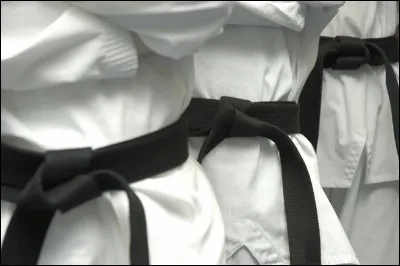 Quel célèbre acteur a remporté de nombreux titres mondiaux en karaté ?