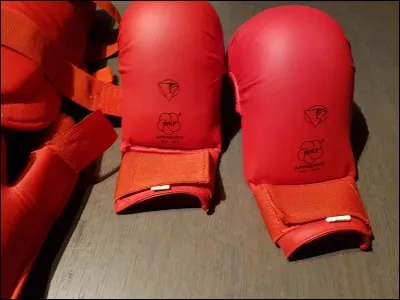 Quand ont eu lieu les premiers championnats du monde de karaté ?