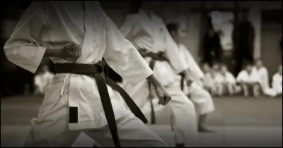 Quels sont les styles les plus pratiqués dans le monde ?