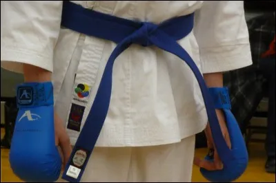 Au karaté, que signifie "kumité" ?