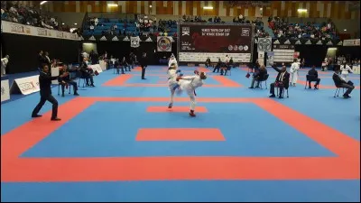 Où auront lieu les prochains Jeux olympiques dont le karaté fera partie ?