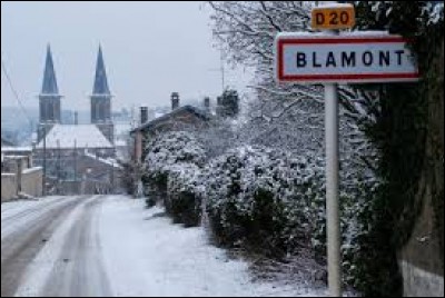 Blamont et Blâmont sont deux orthographes différentes pour désigner une seule et même commune.