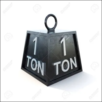 Quel est l'animal le plus gros du monde ?