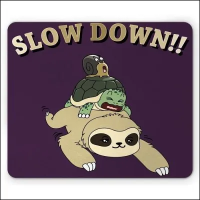 Quel est l'animal le plus lent du monde ?