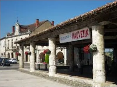 Ville d'Occitanie, dans le Pays Portes de Gascogne, Mauvezin se situe dans le département ...
