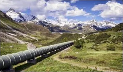 Que voyez-vous sur cette image ?